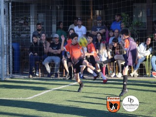 
<a style='margin-left: 5px;' class='btn btn-xs btn-social btn-facebook' href='https://www.facebook.com/sharer/sharer.php?u=https://boladovale.com.br/imgs/800-800-90/conteudo/fotos/1900/img4175.jpg' rel='popup' data-width='500' data-height='400'><i class='fa fa-facebook'></i>Compartilhar <span class='hidden-xs'>no Facebook</span>
</a> 
<a class='btn btn-default btn-xs' target='_blank' href='imgs/800-800-90/conteudo/fotos/1900/img4175.jpg'>
<span class='glyphicon glyphicon-cloud-download'></span> Salvar
</a> 
<span></span>