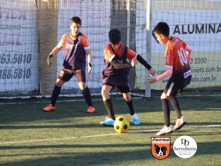 
<a style='margin-left: 5px;' class='btn btn-xs btn-social btn-facebook' href='https://www.facebook.com/sharer/sharer.php?u=https://boladovale.com.br/imgs/800-800-90/conteudo/fotos/1900/img4186.jpg' rel='popup' data-width='500' data-height='400'><i class='fa fa-facebook'></i>Compartilhar <span class='hidden-xs'>no Facebook</span>
</a> 
<a class='btn btn-default btn-xs' target='_blank' href='imgs/800-800-90/conteudo/fotos/1900/img4186.jpg'>
<span class='glyphicon glyphicon-cloud-download'></span> Salvar
</a> 
<span></span>