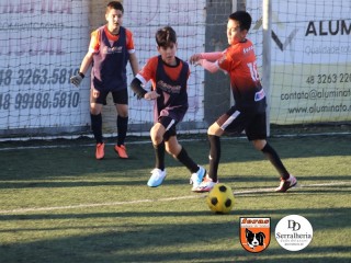 
<a style='margin-left: 5px;' class='btn btn-xs btn-social btn-facebook' href='https://www.facebook.com/sharer/sharer.php?u=https://boladovale.com.br/imgs/800-800-90/conteudo/fotos/1900/img4187.jpg' rel='popup' data-width='500' data-height='400'><i class='fa fa-facebook'></i>Compartilhar <span class='hidden-xs'>no Facebook</span>
</a> 
<a class='btn btn-default btn-xs' target='_blank' href='imgs/800-800-90/conteudo/fotos/1900/img4187.jpg'>
<span class='glyphicon glyphicon-cloud-download'></span> Salvar
</a> 
<span></span>