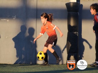 
<a style='margin-left: 5px;' class='btn btn-xs btn-social btn-facebook' href='https://www.facebook.com/sharer/sharer.php?u=https://boladovale.com.br/imgs/800-800-90/conteudo/fotos/1900/img4272.jpg' rel='popup' data-width='500' data-height='400'><i class='fa fa-facebook'></i>Compartilhar <span class='hidden-xs'>no Facebook</span>
</a> 
<a class='btn btn-default btn-xs' target='_blank' href='imgs/800-800-90/conteudo/fotos/1900/img4272.jpg'>
<span class='glyphicon glyphicon-cloud-download'></span> Salvar
</a> 
<span></span>