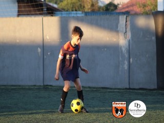 
<a style='margin-left: 5px;' class='btn btn-xs btn-social btn-facebook' href='https://www.facebook.com/sharer/sharer.php?u=https://boladovale.com.br/imgs/800-800-90/conteudo/fotos/1900/img4281.jpg' rel='popup' data-width='500' data-height='400'><i class='fa fa-facebook'></i>Compartilhar <span class='hidden-xs'>no Facebook</span>
</a> 
<a class='btn btn-default btn-xs' target='_blank' href='imgs/800-800-90/conteudo/fotos/1900/img4281.jpg'>
<span class='glyphicon glyphicon-cloud-download'></span> Salvar
</a> 
<span></span>