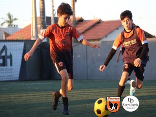 
<a style='margin-left: 5px;' class='btn btn-xs btn-social btn-facebook' href='https://www.facebook.com/sharer/sharer.php?u=https://boladovale.com.br/imgs/800-800-90/conteudo/fotos/1900/img4299.jpg' rel='popup' data-width='500' data-height='400'><i class='fa fa-facebook'></i>Compartilhar <span class='hidden-xs'>no Facebook</span>
</a> 
<a class='btn btn-default btn-xs' target='_blank' href='imgs/800-800-90/conteudo/fotos/1900/img4299.jpg'>
<span class='glyphicon glyphicon-cloud-download'></span> Salvar
</a> 
<span></span>