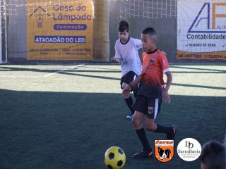
<a style='margin-left: 5px;' class='btn btn-xs btn-social btn-facebook' href='https://www.facebook.com/sharer/sharer.php?u=https://boladovale.com.br/imgs/800-800-90/conteudo/fotos/1901/img3733.jpg' rel='popup' data-width='500' data-height='400'><i class='fa fa-facebook'></i>Compartilhar <span class='hidden-xs'>no Facebook</span>
</a> 
<a class='btn btn-default btn-xs' target='_blank' href='imgs/800-800-90/conteudo/fotos/1901/img3733.jpg'>
<span class='glyphicon glyphicon-cloud-download'></span> Salvar
</a> 
<span></span>