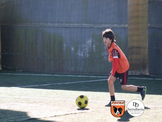 
<a style='margin-left: 5px;' class='btn btn-xs btn-social btn-facebook' href='https://www.facebook.com/sharer/sharer.php?u=https://boladovale.com.br/imgs/800-800-90/conteudo/fotos/1901/img3740.jpg' rel='popup' data-width='500' data-height='400'><i class='fa fa-facebook'></i>Compartilhar <span class='hidden-xs'>no Facebook</span>
</a> 
<a class='btn btn-default btn-xs' target='_blank' href='imgs/800-800-90/conteudo/fotos/1901/img3740.jpg'>
<span class='glyphicon glyphicon-cloud-download'></span> Salvar
</a> 
<span></span>