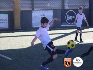 
<a style='margin-left: 5px;' class='btn btn-xs btn-social btn-facebook' href='https://www.facebook.com/sharer/sharer.php?u=https://boladovale.com.br/imgs/800-800-90/conteudo/fotos/1901/img3742.jpg' rel='popup' data-width='500' data-height='400'><i class='fa fa-facebook'></i>Compartilhar <span class='hidden-xs'>no Facebook</span>
</a> 
<a class='btn btn-default btn-xs' target='_blank' href='imgs/800-800-90/conteudo/fotos/1901/img3742.jpg'>
<span class='glyphicon glyphicon-cloud-download'></span> Salvar
</a> 
<span></span>