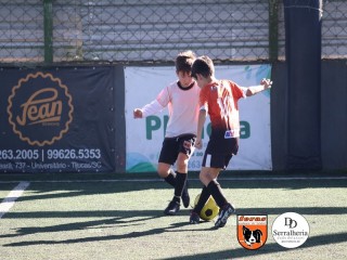 
<a style='margin-left: 5px;' class='btn btn-xs btn-social btn-facebook' href='https://www.facebook.com/sharer/sharer.php?u=https://boladovale.com.br/imgs/800-800-90/conteudo/fotos/1901/img3759.jpg' rel='popup' data-width='500' data-height='400'><i class='fa fa-facebook'></i>Compartilhar <span class='hidden-xs'>no Facebook</span>
</a> 
<a class='btn btn-default btn-xs' target='_blank' href='imgs/800-800-90/conteudo/fotos/1901/img3759.jpg'>
<span class='glyphicon glyphicon-cloud-download'></span> Salvar
</a> 
<span></span>