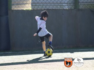 
<a style='margin-left: 5px;' class='btn btn-xs btn-social btn-facebook' href='https://www.facebook.com/sharer/sharer.php?u=https://boladovale.com.br/imgs/800-800-90/conteudo/fotos/1901/img3767.jpg' rel='popup' data-width='500' data-height='400'><i class='fa fa-facebook'></i>Compartilhar <span class='hidden-xs'>no Facebook</span>
</a> 
<a class='btn btn-default btn-xs' target='_blank' href='imgs/800-800-90/conteudo/fotos/1901/img3767.jpg'>
<span class='glyphicon glyphicon-cloud-download'></span> Salvar
</a> 
<span></span>