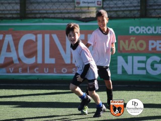 
<a style='margin-left: 5px;' class='btn btn-xs btn-social btn-facebook' href='https://www.facebook.com/sharer/sharer.php?u=https://boladovale.com.br/imgs/800-800-90/conteudo/fotos/1901/img3774.jpg' rel='popup' data-width='500' data-height='400'><i class='fa fa-facebook'></i>Compartilhar <span class='hidden-xs'>no Facebook</span>
</a> 
<a class='btn btn-default btn-xs' target='_blank' href='imgs/800-800-90/conteudo/fotos/1901/img3774.jpg'>
<span class='glyphicon glyphicon-cloud-download'></span> Salvar
</a> 
<span></span>