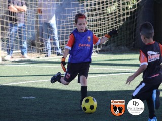 
<a style='margin-left: 5px;' class='btn btn-xs btn-social btn-facebook' href='https://www.facebook.com/sharer/sharer.php?u=https://boladovale.com.br/imgs/800-800-90/conteudo/fotos/1901/img3777.jpg' rel='popup' data-width='500' data-height='400'><i class='fa fa-facebook'></i>Compartilhar <span class='hidden-xs'>no Facebook</span>
</a> 
<a class='btn btn-default btn-xs' target='_blank' href='imgs/800-800-90/conteudo/fotos/1901/img3777.jpg'>
<span class='glyphicon glyphicon-cloud-download'></span> Salvar
</a> 
<span></span>