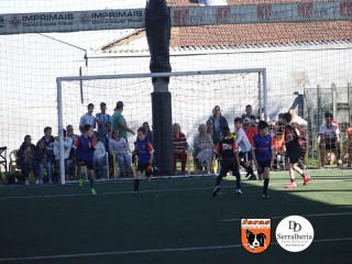 
<a style='margin-left: 5px;' class='btn btn-xs btn-social btn-facebook' href='https://www.facebook.com/sharer/sharer.php?u=https://boladovale.com.br/imgs/800-800-90/conteudo/fotos/1901/img3778.jpg' rel='popup' data-width='500' data-height='400'><i class='fa fa-facebook'></i>Compartilhar <span class='hidden-xs'>no Facebook</span>
</a> 
<a class='btn btn-default btn-xs' target='_blank' href='imgs/800-800-90/conteudo/fotos/1901/img3778.jpg'>
<span class='glyphicon glyphicon-cloud-download'></span> Salvar
</a> 
<span></span>