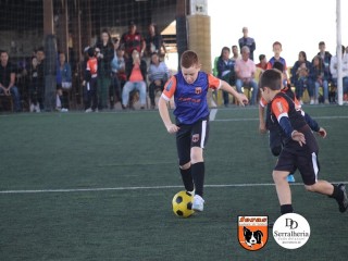 
<a style='margin-left: 5px;' class='btn btn-xs btn-social btn-facebook' href='https://www.facebook.com/sharer/sharer.php?u=https://boladovale.com.br/imgs/800-800-90/conteudo/fotos/1901/img3781.jpg' rel='popup' data-width='500' data-height='400'><i class='fa fa-facebook'></i>Compartilhar <span class='hidden-xs'>no Facebook</span>
</a> 
<a class='btn btn-default btn-xs' target='_blank' href='imgs/800-800-90/conteudo/fotos/1901/img3781.jpg'>
<span class='glyphicon glyphicon-cloud-download'></span> Salvar
</a> 
<span></span>