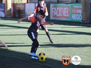 
<a style='margin-left: 5px;' class='btn btn-xs btn-social btn-facebook' href='https://www.facebook.com/sharer/sharer.php?u=https://boladovale.com.br/imgs/800-800-90/conteudo/fotos/1901/img3788.jpg' rel='popup' data-width='500' data-height='400'><i class='fa fa-facebook'></i>Compartilhar <span class='hidden-xs'>no Facebook</span>
</a> 
<a class='btn btn-default btn-xs' target='_blank' href='imgs/800-800-90/conteudo/fotos/1901/img3788.jpg'>
<span class='glyphicon glyphicon-cloud-download'></span> Salvar
</a> 
<span></span>