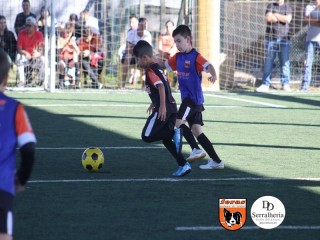 
<a style='margin-left: 5px;' class='btn btn-xs btn-social btn-facebook' href='https://www.facebook.com/sharer/sharer.php?u=https://boladovale.com.br/imgs/800-800-90/conteudo/fotos/1901/img3797.jpg' rel='popup' data-width='500' data-height='400'><i class='fa fa-facebook'></i>Compartilhar <span class='hidden-xs'>no Facebook</span>
</a> 
<a class='btn btn-default btn-xs' target='_blank' href='imgs/800-800-90/conteudo/fotos/1901/img3797.jpg'>
<span class='glyphicon glyphicon-cloud-download'></span> Salvar
</a> 
<span></span>