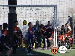 
<a style='margin-left: 5px;' class='btn btn-xs btn-social btn-facebook' href='https://www.facebook.com/sharer/sharer.php?u=https://boladovale.com.br/imgs/800-800-90/conteudo/fotos/1901/img3802.jpg' rel='popup' data-width='500' data-height='400'><i class='fa fa-facebook'></i>Compartilhar <span class='hidden-xs'>no Facebook</span>
</a> 
<a class='btn btn-default btn-xs' target='_blank' href='imgs/800-800-90/conteudo/fotos/1901/img3802.jpg'>
<span class='glyphicon glyphicon-cloud-download'></span> Salvar
</a> 
<span></span>