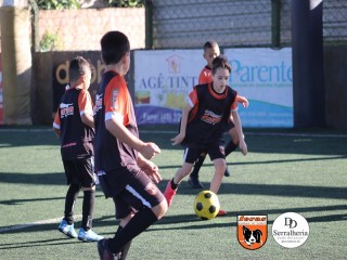 
<a style='margin-left: 5px;' class='btn btn-xs btn-social btn-facebook' href='https://www.facebook.com/sharer/sharer.php?u=https://boladovale.com.br/imgs/800-800-90/conteudo/fotos/1901/img3986.jpg' rel='popup' data-width='500' data-height='400'><i class='fa fa-facebook'></i>Compartilhar <span class='hidden-xs'>no Facebook</span>
</a> 
<a class='btn btn-default btn-xs' target='_blank' href='imgs/800-800-90/conteudo/fotos/1901/img3986.jpg'>
<span class='glyphicon glyphicon-cloud-download'></span> Salvar
</a> 
<span></span>