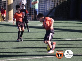 
<a style='margin-left: 5px;' class='btn btn-xs btn-social btn-facebook' href='https://www.facebook.com/sharer/sharer.php?u=https://boladovale.com.br/imgs/800-800-90/conteudo/fotos/1901/img3993.jpg' rel='popup' data-width='500' data-height='400'><i class='fa fa-facebook'></i>Compartilhar <span class='hidden-xs'>no Facebook</span>
</a> 
<a class='btn btn-default btn-xs' target='_blank' href='imgs/800-800-90/conteudo/fotos/1901/img3993.jpg'>
<span class='glyphicon glyphicon-cloud-download'></span> Salvar
</a> 
<span></span>