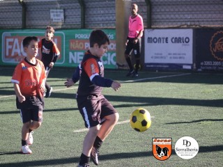 
<a style='margin-left: 5px;' class='btn btn-xs btn-social btn-facebook' href='https://www.facebook.com/sharer/sharer.php?u=https://boladovale.com.br/imgs/800-800-90/conteudo/fotos/1901/img3998.jpg' rel='popup' data-width='500' data-height='400'><i class='fa fa-facebook'></i>Compartilhar <span class='hidden-xs'>no Facebook</span>
</a> 
<a class='btn btn-default btn-xs' target='_blank' href='imgs/800-800-90/conteudo/fotos/1901/img3998.jpg'>
<span class='glyphicon glyphicon-cloud-download'></span> Salvar
</a> 
<span></span>