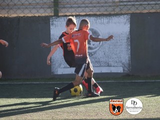 
<a style='margin-left: 5px;' class='btn btn-xs btn-social btn-facebook' href='https://www.facebook.com/sharer/sharer.php?u=https://boladovale.com.br/imgs/800-800-90/conteudo/fotos/1901/img4002.jpg' rel='popup' data-width='500' data-height='400'><i class='fa fa-facebook'></i>Compartilhar <span class='hidden-xs'>no Facebook</span>
</a> 
<a class='btn btn-default btn-xs' target='_blank' href='imgs/800-800-90/conteudo/fotos/1901/img4002.jpg'>
<span class='glyphicon glyphicon-cloud-download'></span> Salvar
</a> 
<span></span>