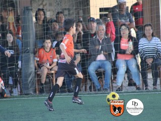 
<a style='margin-left: 5px;' class='btn btn-xs btn-social btn-facebook' href='https://www.facebook.com/sharer/sharer.php?u=https://boladovale.com.br/imgs/800-800-90/conteudo/fotos/1901/img4003.jpg' rel='popup' data-width='500' data-height='400'><i class='fa fa-facebook'></i>Compartilhar <span class='hidden-xs'>no Facebook</span>
</a> 
<a class='btn btn-default btn-xs' target='_blank' href='imgs/800-800-90/conteudo/fotos/1901/img4003.jpg'>
<span class='glyphicon glyphicon-cloud-download'></span> Salvar
</a> 
<span></span>
