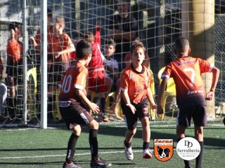 
<a style='margin-left: 5px;' class='btn btn-xs btn-social btn-facebook' href='https://www.facebook.com/sharer/sharer.php?u=https://boladovale.com.br/imgs/800-800-90/conteudo/fotos/1901/img4012.jpg' rel='popup' data-width='500' data-height='400'><i class='fa fa-facebook'></i>Compartilhar <span class='hidden-xs'>no Facebook</span>
</a> 
<a class='btn btn-default btn-xs' target='_blank' href='imgs/800-800-90/conteudo/fotos/1901/img4012.jpg'>
<span class='glyphicon glyphicon-cloud-download'></span> Salvar
</a> 
<span></span>