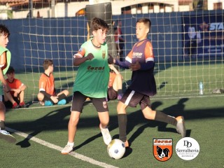 
<a style='margin-left: 5px;' class='btn btn-xs btn-social btn-facebook' href='https://www.facebook.com/sharer/sharer.php?u=https://boladovale.com.br/imgs/800-800-90/conteudo/fotos/1901/img4192.jpg' rel='popup' data-width='500' data-height='400'><i class='fa fa-facebook'></i>Compartilhar <span class='hidden-xs'>no Facebook</span>
</a> 
<a class='btn btn-default btn-xs' target='_blank' href='imgs/800-800-90/conteudo/fotos/1901/img4192.jpg'>
<span class='glyphicon glyphicon-cloud-download'></span> Salvar
</a> 
<span></span>