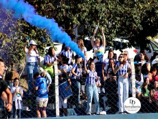 
<a style='margin-left: 5px;' class='btn btn-xs btn-social btn-facebook' href='https://www.facebook.com/sharer/sharer.php?u=https://boladovale.com.br/imgs/800-800-90/conteudo/fotos/1904/img7910.jpg' rel='popup' data-width='500' data-height='400'><i class='fa fa-facebook'></i>Compartilhar <span class='hidden-xs'>no Facebook</span>
</a> 
<a class='btn btn-default btn-xs' target='_blank' href='imgs/800-800-90/conteudo/fotos/1904/img7910.jpg'>
<span class='glyphicon glyphicon-cloud-download'></span> Salvar
</a> 
<span></span>