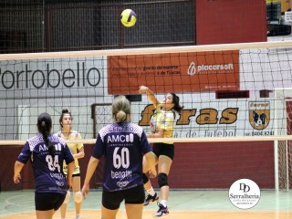
<a style='margin-left: 5px;' class='btn btn-xs btn-social btn-facebook' href='https://www.facebook.com/sharer/sharer.php?u=https://boladovale.com.br/imgs/800-800-90/conteudo/fotos/1905/img8372.jpg' rel='popup' data-width='500' data-height='400'><i class='fa fa-facebook'></i>Compartilhar <span class='hidden-xs'>no Facebook</span>
</a> 
<a class='btn btn-default btn-xs' target='_blank' href='imgs/800-800-90/conteudo/fotos/1905/img8372.jpg'>
<span class='glyphicon glyphicon-cloud-download'></span> Salvar
</a> 
<span></span>