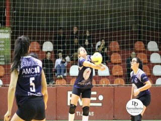 
<a style='margin-left: 5px;' class='btn btn-xs btn-social btn-facebook' href='https://www.facebook.com/sharer/sharer.php?u=https://boladovale.com.br/imgs/800-800-90/conteudo/fotos/1905/img8488.jpg' rel='popup' data-width='500' data-height='400'><i class='fa fa-facebook'></i>Compartilhar <span class='hidden-xs'>no Facebook</span>
</a> 
<a class='btn btn-default btn-xs' target='_blank' href='imgs/800-800-90/conteudo/fotos/1905/img8488.jpg'>
<span class='glyphicon glyphicon-cloud-download'></span> Salvar
</a> 
<span></span>