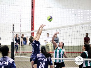 
<a style='margin-left: 5px;' class='btn btn-xs btn-social btn-facebook' href='https://www.facebook.com/sharer/sharer.php?u=https://boladovale.com.br/imgs/800-800-90/conteudo/fotos/1923/img0608.jpg' rel='popup' data-width='500' data-height='400'><i class='fa fa-facebook'></i>Compartilhar <span class='hidden-xs'>no Facebook</span>
</a> 
<a class='btn btn-default btn-xs' target='_blank' href='imgs/800-800-90/conteudo/fotos/1923/img0608.jpg'>
<span class='glyphicon glyphicon-cloud-download'></span> Salvar
</a> 
<span></span>