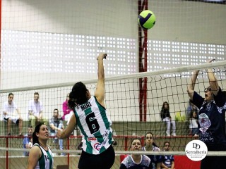 
<a style='margin-left: 5px;' class='btn btn-xs btn-social btn-facebook' href='https://www.facebook.com/sharer/sharer.php?u=https://boladovale.com.br/imgs/800-800-90/conteudo/fotos/1923/img0673.jpg' rel='popup' data-width='500' data-height='400'><i class='fa fa-facebook'></i>Compartilhar <span class='hidden-xs'>no Facebook</span>
</a> 
<a class='btn btn-default btn-xs' target='_blank' href='imgs/800-800-90/conteudo/fotos/1923/img0673.jpg'>
<span class='glyphicon glyphicon-cloud-download'></span> Salvar
</a> 
<span></span>