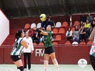 
<a style='margin-left: 5px;' class='btn btn-xs btn-social btn-facebook' href='https://www.facebook.com/sharer/sharer.php?u=https://boladovale.com.br/imgs/800-800-90/conteudo/fotos/1934/img2378.jpg' rel='popup' data-width='500' data-height='400'><i class='fa fa-facebook'></i>Compartilhar <span class='hidden-xs'>no Facebook</span>
</a> 
<a class='btn btn-default btn-xs' target='_blank' href='imgs/800-800-90/conteudo/fotos/1934/img2378.jpg'>
<span class='glyphicon glyphicon-cloud-download'></span> Salvar
</a> 
<span></span>