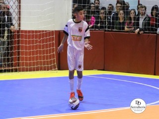 
<a style='margin-left: 5px;' class='btn btn-xs btn-social btn-facebook' href='https://www.facebook.com/sharer/sharer.php?u=https://boladovale.com.br/imgs/800-800-90/conteudo/fotos/1943/img3871.jpg' rel='popup' data-width='500' data-height='400'><i class='fa fa-facebook'></i>Compartilhar <span class='hidden-xs'>no Facebook</span>
</a> 
<a class='btn btn-default btn-xs' target='_blank' href='imgs/800-800-90/conteudo/fotos/1943/img3871.jpg'>
<span class='glyphicon glyphicon-cloud-download'></span> Salvar
</a> 
<span></span>