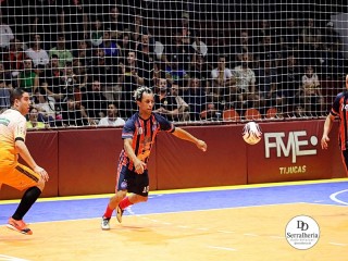 
<a style='margin-left: 5px;' class='btn btn-xs btn-social btn-facebook' href='https://www.facebook.com/sharer/sharer.php?u=https://boladovale.com.br/imgs/800-800-90/conteudo/fotos/1979/img7716.jpg' rel='popup' data-width='500' data-height='400'><i class='fa fa-facebook'></i>Compartilhar <span class='hidden-xs'>no Facebook</span>
</a> 
<a class='btn btn-default btn-xs' target='_blank' href='imgs/800-800-90/conteudo/fotos/1979/img7716.jpg'>
<span class='glyphicon glyphicon-cloud-download'></span> Salvar
</a> 
<span></span>