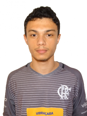 Matheus A. da Silva